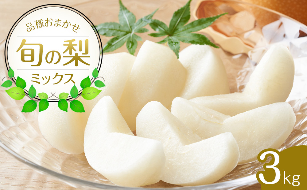 【ポイント交換専用】308.【先行予約】【品種はおまかせ】旬の梨ミックスセット&nbsp;3kg　※2026年8月下旬～12月下旬頃に順次発送予定
