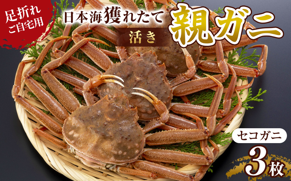 【ポイント交換専用】121.【活き】訳あり&nbsp;足折れ&nbsp;ご自宅用&nbsp;日本海獲れたて親ガニ（セコガニ）3枚&nbsp;※2025年11月上旬～12月下旬頃に順次発送予定