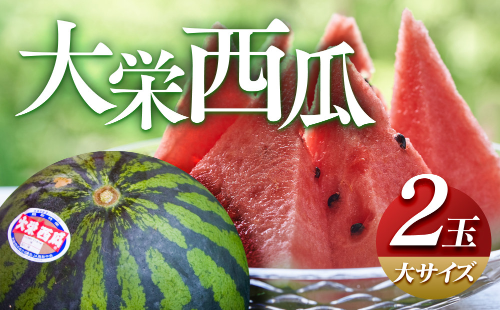【ポイント交換専用】【2027年産先行予約】大栄西瓜&nbsp;&nbsp;大&nbsp;2玉&nbsp;※2027年6月中旬～7月中旬頃に順次発送予定