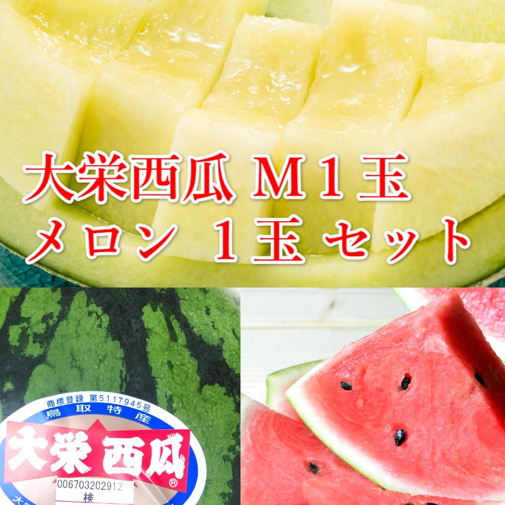 【ポイント交換専用】1000.【ふるさと納税】【先行予約】大栄西瓜　秀　1玉と旬のメロンセット※6月中旬～7月中旬頃に順次発送予定