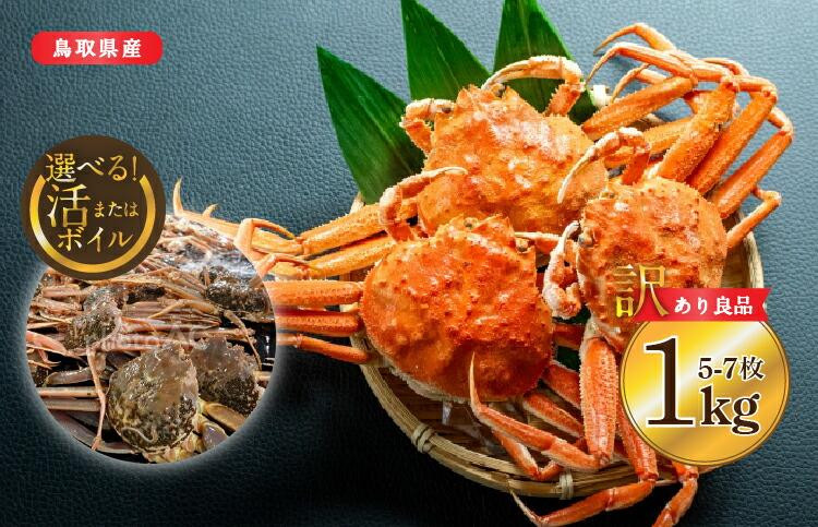 【ポイント交換専用】921.【活】鳥取県産　セコガニ　訳あり良品　1ｋg(5～7枚)《かに カニ 蟹 セコガニ※2025/11/6～2025/12/25に順次発送予定※着日指定不可  離島不可（北海道、沖縄本島は配送可能）