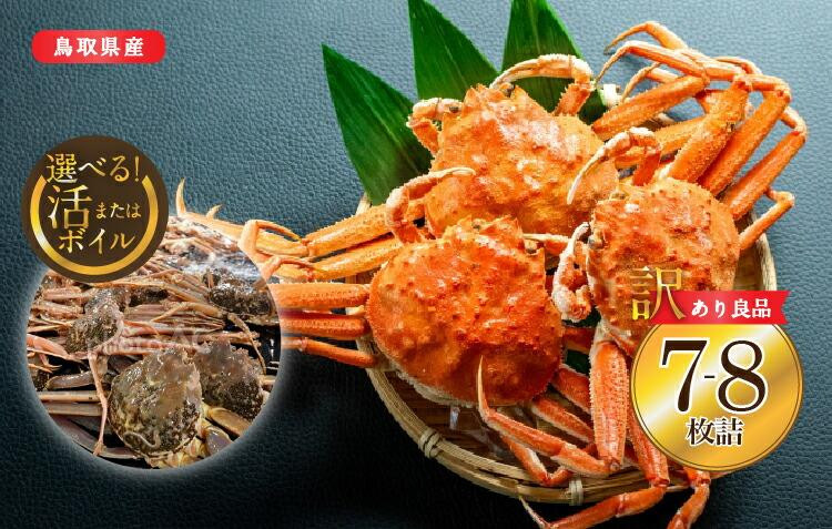 【ポイント交換専用】922.【活】鳥取県産セコガニ　訳あり　良品7~8枚詰《かに&nbsp;カニ&nbsp;蟹&nbsp;セコガニ》※2025/11/6～2025/12/25に順次発送予定※着日指定不可&nbsp;&nbsp;離島不可（北海道、沖縄本島は配送可能）