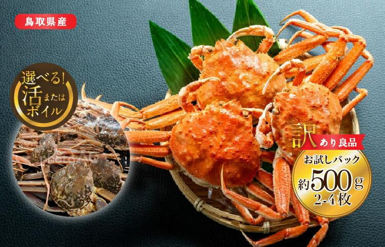 【ポイント交換専用】923.【活】鳥取県産　訳あり　良品セコガニ　お試しパック　約500ｇ（2～4枚）《かに&nbsp;カニ&nbsp;蟹&nbsp;セコガニ》※2025/11/6～2025/12/29に順次発送予定※着日指定不可&nbsp;&nbsp;離島不可（北海道、沖縄本島は配送可能）
