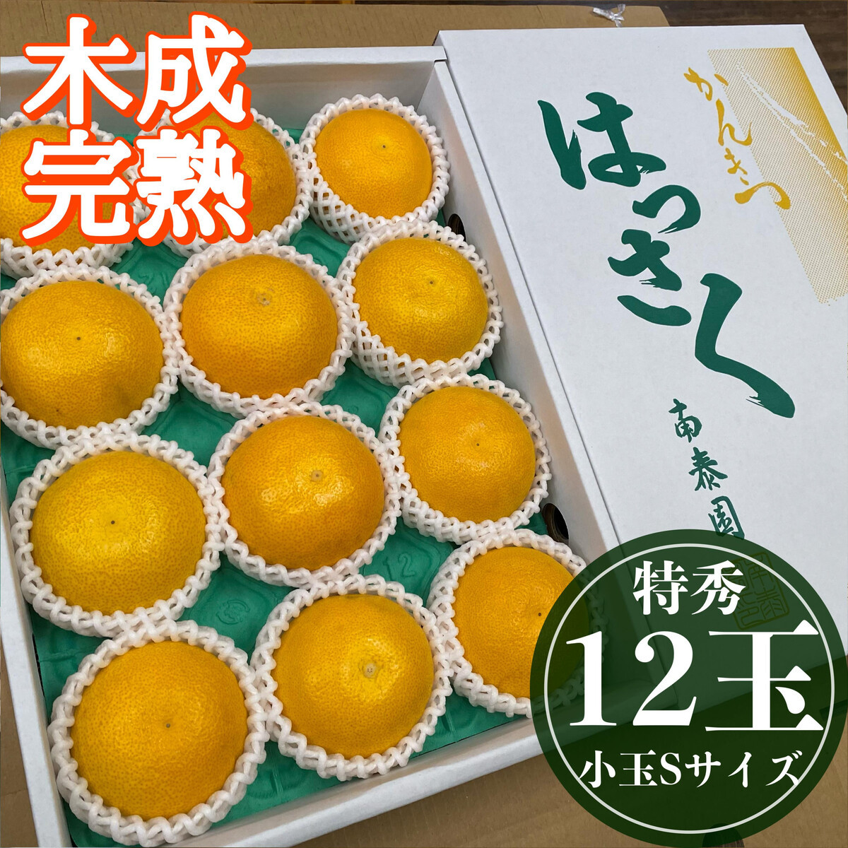 4月&nbsp;まで&nbsp;木成&nbsp;完熟&nbsp;させた&nbsp;有田&nbsp;はっさく&nbsp;特秀&nbsp;小玉&nbsp;S&nbsp;×&nbsp;12玉&nbsp;化粧箱&nbsp;南泰園&nbsp;みかん