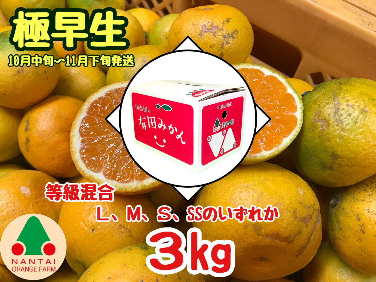 等級混合&nbsp;極早生&nbsp;有田&nbsp;みかん&nbsp;L&nbsp;～&nbsp;SS&nbsp;サイズ&nbsp;3kg&nbsp;南泰園&nbsp;和歌山&nbsp;有田みかん