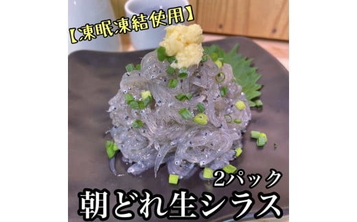 超鮮度！朝どれ 生しらす 小 2パック【凍眠凍結使用】【 惣菜 お刺身 生食 日本酒 焼酎 お取り寄せ 希少部位 御中元 お中元 お歳暮 父の日 母の日 贈り物 】【家庭用 自宅用 贈答品 贈答用 ギフト 神奈川県 小田原市 】