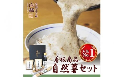 お店の味をご家庭で。【箱根自然薯の森&nbsp;山薬】自然薯セット(2～3人前×2回分)【とろろ&nbsp;極上とろろ&nbsp;山芋&nbsp;箱根&nbsp;お家用&nbsp;家庭用&nbsp;国産&nbsp;セット商品&nbsp;自然薯&nbsp;神奈川県&nbsp;小田原市&nbsp;】
