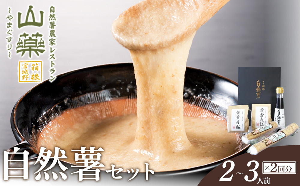 お店の味をご家庭で。【箱根自然薯の森&nbsp;山薬】自然薯セット(2～3人前×2回分)【とろろ&nbsp;極上とろろ&nbsp;山芋&nbsp;箱根&nbsp;お家用&nbsp;家庭用&nbsp;国産&nbsp;セット商品&nbsp;自然薯&nbsp;神奈川県&nbsp;小田原市&nbsp;】