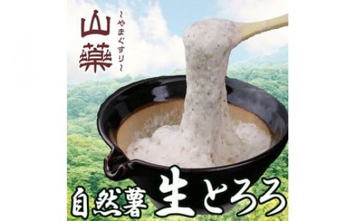 自然薯の味をお楽しみください。自然薯生とろろ100ｇ×５ｐセット【とろろ&nbsp;極上とろろ&nbsp;山芋&nbsp;箱根&nbsp;お家用&nbsp;家庭用&nbsp;国産&nbsp;セット商品&nbsp;自然薯&nbsp;味付とろろ&nbsp;神奈川県&nbsp;小田原市&nbsp;】