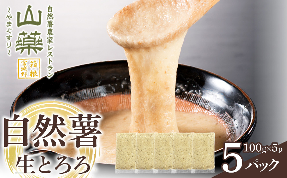 自然薯の味をお楽しみください。自然薯生とろろ100ｇ×５ｐセット【とろろ&nbsp;極上とろろ&nbsp;山芋&nbsp;箱根&nbsp;お家用&nbsp;家庭用&nbsp;国産&nbsp;セット商品&nbsp;自然薯&nbsp;味付とろろ&nbsp;神奈川県&nbsp;小田原市&nbsp;】