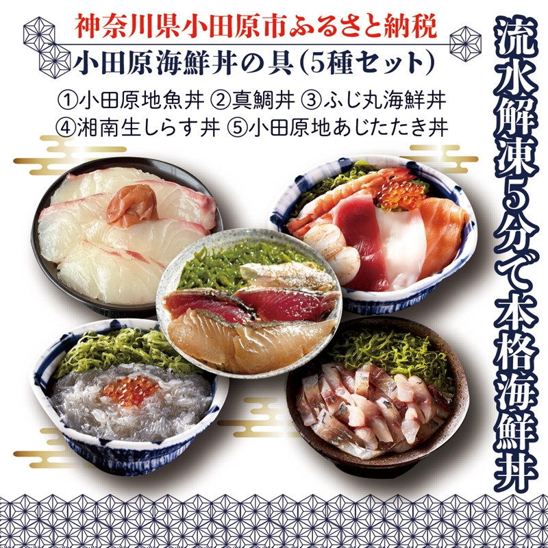 【曽我の梅干し、小田原地あじ、小田原港直送地魚丼、大磯港直送湘南生しらす】小田原海鮮丼の具（5種セット）【ふじ丸海鮮丼 湘南生シラス丼 小田原地魚丼 小田原地あじたたき丼 国産活〆真鯛丼 神奈川県 小田原市 】