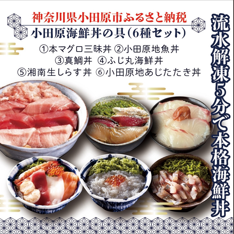 【高級食材本マグロ、曽我の梅干し、小田原地あじ、小田原港直送地魚丼、大磯港直送、湘南生しらす】小田原海鮮丼の具（6種セット）【本まぐろ丼&nbsp;小田原地魚丼&nbsp;小田原地あじたたき丼&nbsp;国産活〆真鯛入り酒仕込み&nbsp;神奈川県&nbsp;小田原市&nbsp;】