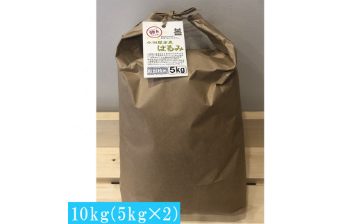 志村屋米穀店&nbsp;令和7年産新米小田原市産　はるみ　10kg（5kgｘ2）＜出荷時期：10月中旬より順次出荷開始＞
