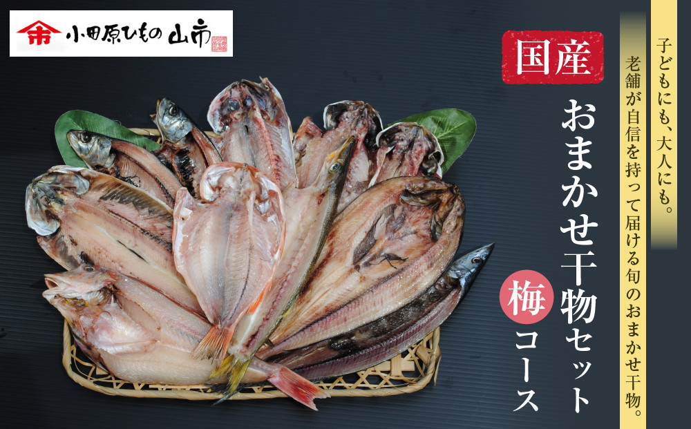 【国産】おまかせ干物セット&nbsp;梅コース【お取り寄せ&nbsp;海鮮&nbsp;グルメ&nbsp;ギフト&nbsp;プレゼント&nbsp;産地直送&nbsp;産直&nbsp;魚&nbsp;手作り&nbsp;ひもの&nbsp;詰め合わせ&nbsp;お中元&nbsp;お歳暮&nbsp;父の日&nbsp;母の日&nbsp;誕生日&nbsp;自宅用&nbsp;贈答品&nbsp;贈答用&nbsp;朝食&nbsp;バーベキュー&nbsp;神奈川県&nbsp;小田原市&nbsp;】