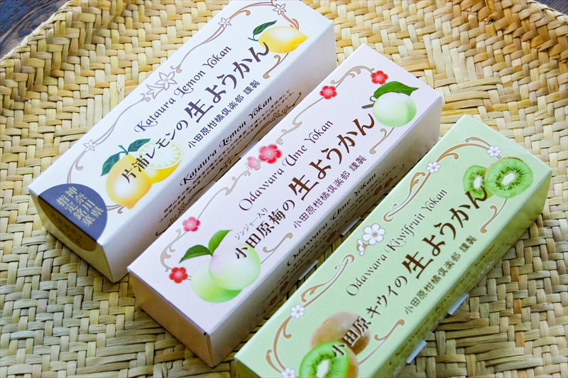 【さっぱりとした現代感覚のフルーツ生ようかんセット】（片浦レモン、小田原キウイ、ジンジャー入り小田原梅 各1本）創業昭和10年 小田原 伊勢屋【 和菓子店 ようかん 神奈川県指定銘菓 神奈川県 小田原市 】