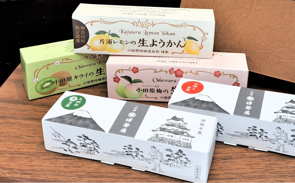小田原老舗和菓子店の手づくりようかん5本セット【和菓子店　手づくりようかん5本セット レモンようかん　フルーツようかん 足柄茶ようかん 本練ようかん キウイようかん 梅ようかん 神奈川県指定銘菓 神奈川県 小田原市 】