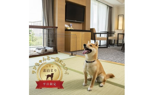 ワンちゃんと一緒にステイヒルトンドッグフレンドリールーム素泊まり（平日）【オーシャンビュー フィットネス 天然温泉大浴場 バーデゾーン 朝食ビュッフェ 都心から１時間のリゾート ヒルトン 神奈川県 小田原市 】