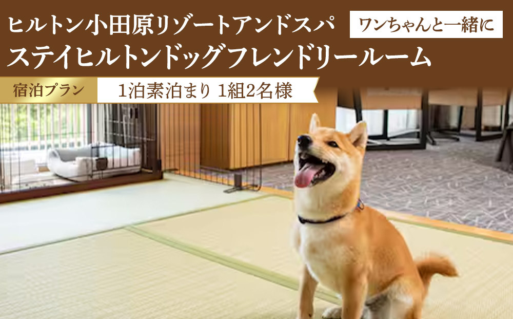 【チケット有効期限延長！】ワンちゃんと一緒にステイヒルトンドッグフレンドリールーム素泊まり（平日）【オーシャンビュー&nbsp;フィットネス&nbsp;天然温泉大浴場&nbsp;バーデゾーン&nbsp;朝食ビュッフェ&nbsp;都心から１時間のリゾート&nbsp;ヒルトン&nbsp;神奈川県&nbsp;小田原市&nbsp;】