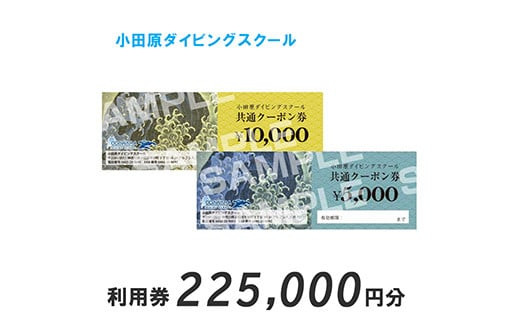 小田原ダイビングスクール 共通クーポン券 225,000円分