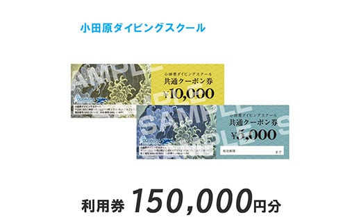 小田原ダイビングスクール 共通クーポン券 150,000円分