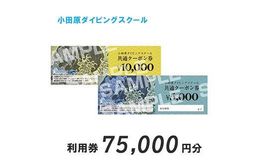 小田原ダイビングスクール共通クーポン券 75,000円分