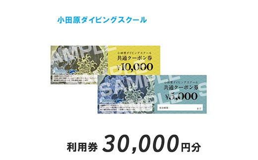 小田原ダイビングスクール 共通クーポン券 30,000円分