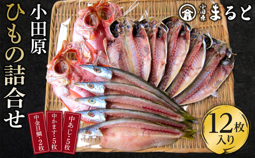 小田原ひもの詰合せ&nbsp;s45【惣菜&nbsp;魚&nbsp;干物&nbsp;ひもの&nbsp;お取り寄せ&nbsp;御中元&nbsp;お中元&nbsp;お歳暮&nbsp;父の日&nbsp;母の日&nbsp;贈り物&nbsp;家庭用&nbsp;自宅用&nbsp;贈答品&nbsp;贈答用&nbsp;ギフト&nbsp;定番&nbsp;朝食&nbsp;朝ごはん&nbsp;国産&nbsp;中あじ、中かます、中金目鯛&nbsp;&nbsp;神奈川県&nbsp;小田原市&nbsp;】
