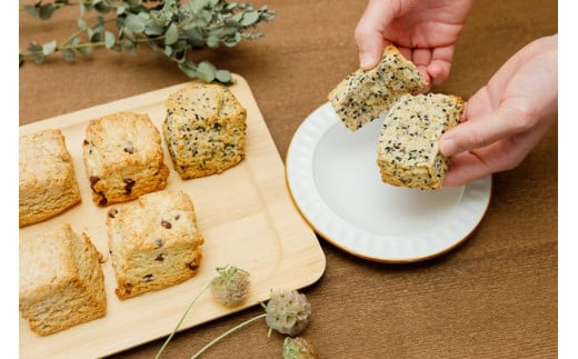 国産や安心安全な食材を大切にしたこだわりの人気ヴィーガンスコーン詰め合わせ １２個セット 個包装 プラントベース マクロビ エシカルスイーツ【 ヴィーガンスコーン 北海道産小麦 北海道産てんさい糖 神奈川県 小田原市 】