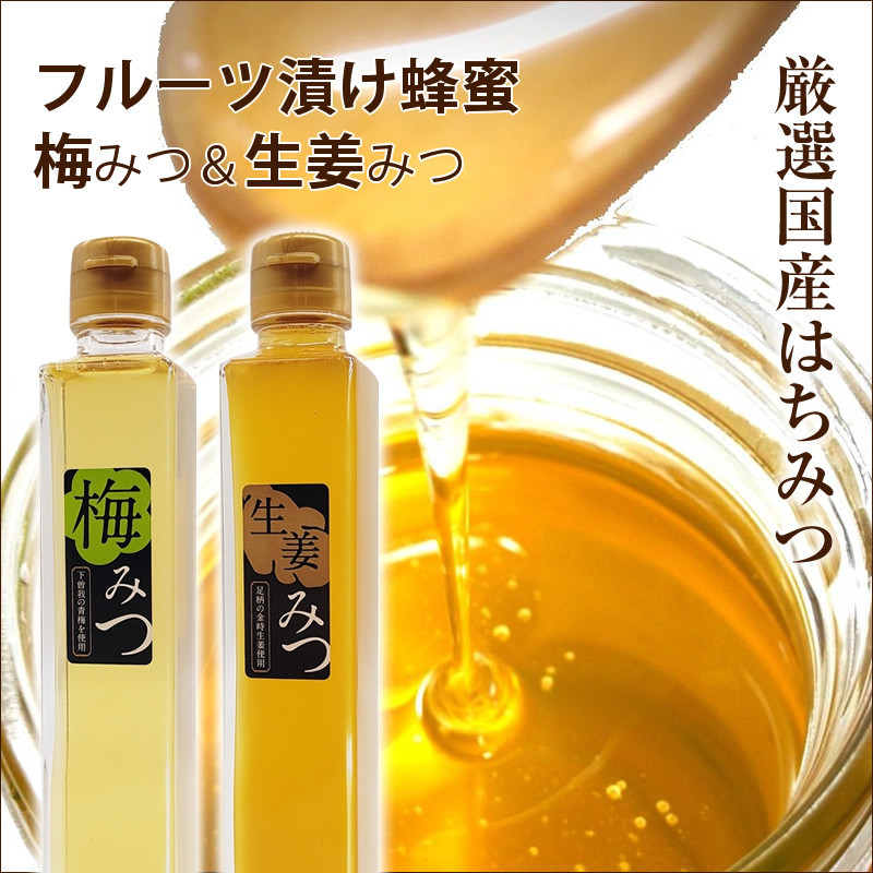 フルーツ漬け蜂蜜2本セット（梅みつ＆生姜みつ）【はちみつ ハチミツ 蜂蜜 家庭用 自宅用 贈答品 贈答用 ギフト お取り寄せ 御中元 お中元 お歳暮 父の日 母の日 贈り物 梅 生姜 フルーツ 神奈川県 小田原市 】
