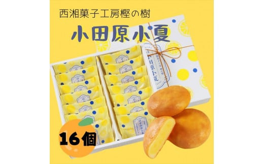 西湘菓子工房樫の樹　乳菓万頭小田原小夏16個入りギフト&nbsp;【&nbsp;お菓子&nbsp;スイーツ&nbsp;神奈川県&nbsp;小田原市&nbsp;】