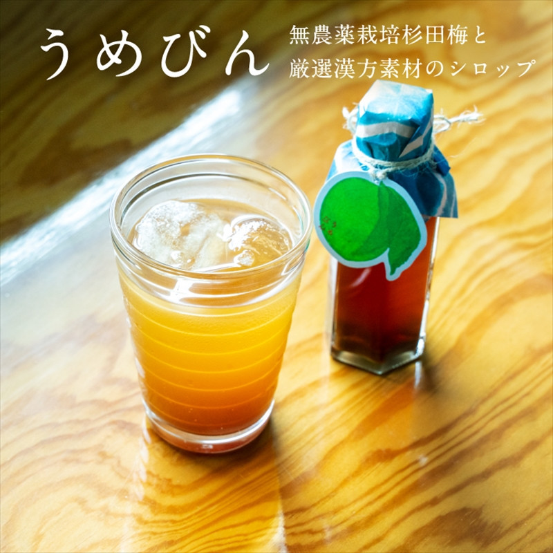 濃厚梅エキスと漢方のシロップ「うめびん（杉田梅） by Kampo Kitchen」【 家庭用 自宅用 贈答品 贈答用 ギフト お取り寄せ お中元 お歳暮 贈り物 お祝い 神奈川県 小田原市 】