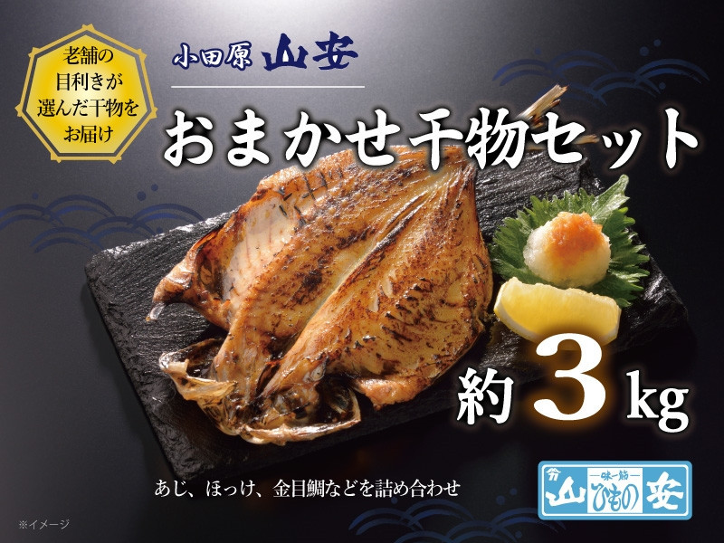 【 小田原 山安 】 おまかせ干物セット 約3kg 【 縞ほっけ開き干し 金目鯛開き干し 真あじ開き干し 赤魚開き干し さば半身干し かます開き干し 干物 大容量 詰合せ 神奈川県 小田原市 】