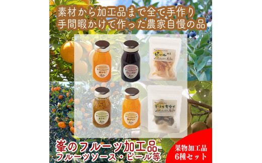 峯フルーツセット 計6種類 手づくりジャムソース4種 ドライフルーツ2種 【 家庭用 自宅用 贈答品 贈答用 ギフト お取り寄せ お中元 お歳暮 贈り物 お祝い 神奈川県 小田原市 】