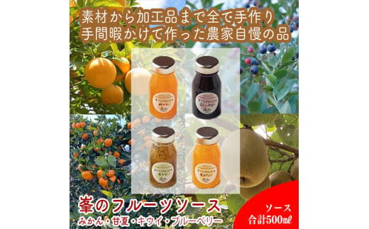 手づくりジャムソース 4本セット 手作りみかん キウイ あまなつ ブルーベリー 125ml 詰め合わせ ギフト 【 家庭用 自宅用 贈答品 贈答用 ギフト お取り寄せ お中元 お歳暮 贈り物 お祝い 神奈川県 小田原市 】