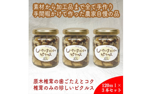しいたけだけのピクルス 3個セット【 家庭用 自宅用 贈答品 贈答用 ギフト お取り寄せ お中元 お歳暮 贈り物 お祝い 神奈川県 小田原市 】
