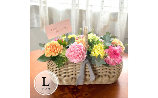 《母の日限定》カーネーションのバスケットアレンジメント(Lサイズ)＜出荷時期：2026年5月6日～5月9日＞