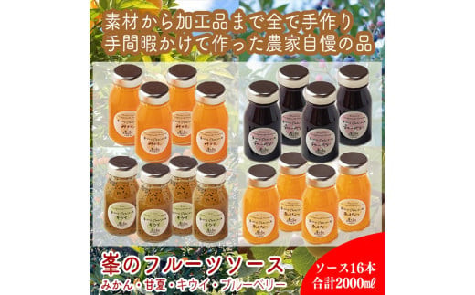 スイスで加工品を学んだ農家が作った手づくりジャムソース 16本セット 手作りみかん キウイ あまなつ ブルーベリー他 125ml 詰め合わせ ギフト【 家庭用 自宅用 贈答品 贈答用 ギフト お取り寄せ お中元 お歳暮 贈り物 お祝い 神奈川県 小田原市 】
