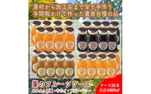 スイスで加工品を学んだ農家が作った手づくりジャムソース 32本セット 手作りみかん キウイ あまなつ ブルーベリー他 125ml 詰め合わせ ギフト【 家庭用 自宅用 贈答品 贈答用 ギフト お取り寄せ お中元 お歳暮 贈り物 お祝い 神奈川県 小田原市 】