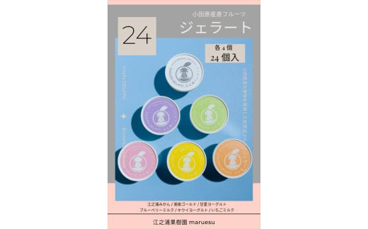 小田原産江之浦ジェラート６種（みかん、湘南ゴールド、ブルーベリーミルク、いちごミルク、キウイヨーグルト、甘夏ヨーグルト）120mlカップ各４個合計２４個