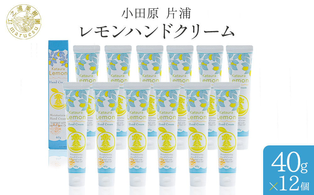 小田原&nbsp;片浦レモンハンドクリーム１２個