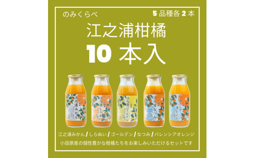 小田原産江之浦みかんジュース５種のみくらべ１０本セット&nbsp;うんしゅう・しらぬい・ゴールデン・なつみ・バレンシアオレンジ１００％ストレートジュース１８０ml各２本合計１０本