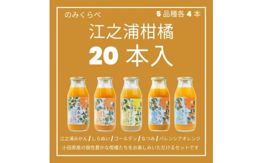 小田原産江之浦みかんジュース５種のみくらべ2０本セット&nbsp;うんしゅう・しらぬい・ゴールデン・なつみ・バレンシアオレンジ１００％ストレートジュース１８０ml各４本合計２０本