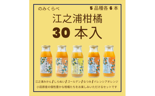 小田原産江之浦みかんジュース５種のみくらべ３０本セット&nbsp;うんしゅう・しらぬい・ゴールデン・なつみ・バレンシアオレンジ１００％ストレートジュース１８０ml各６本合計３０本