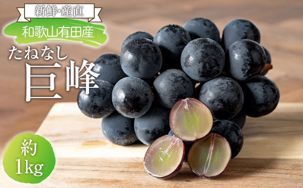 [新鮮・産直]和歌山有田産のたねなし巨峰約1kg★2025年8月上旬頃より順次発送