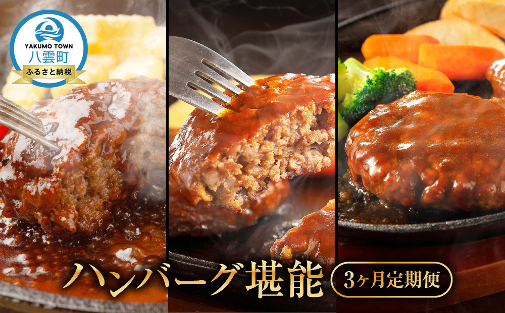 地元新聞で紹介！ 【3ヶ月定期便】ハンバーグ堪能