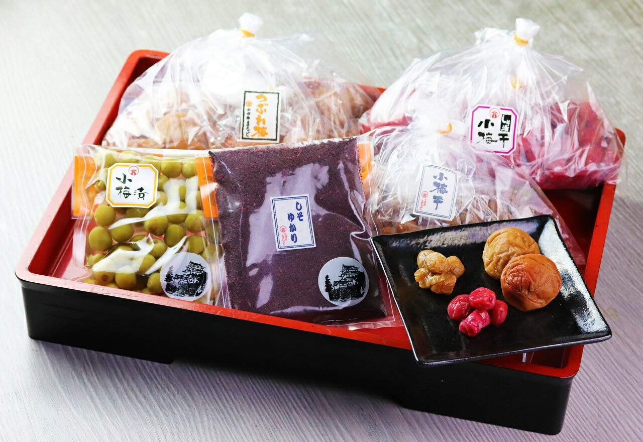 昔ながらの塩だけで漬込んだ無添加・無着色の梅干1.6kg【梅干 梅干し ウメボシ うめぼし 梅干 梅 ウメ お家用 家庭用 国産 無添加 無着色 神奈川県 小田原市 】