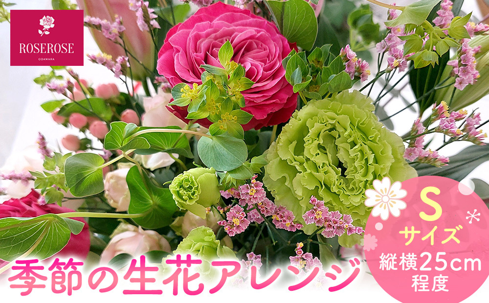 季節の生花アレンジ　Sサイズ&nbsp;【&nbsp;フラワー&nbsp;アレンジメント&nbsp;お花&nbsp;ギフト&nbsp;プレゼント&nbsp;贈り物&nbsp;誕生日&nbsp;お祝い&nbsp;神奈川県&nbsp;小田原市&nbsp;】