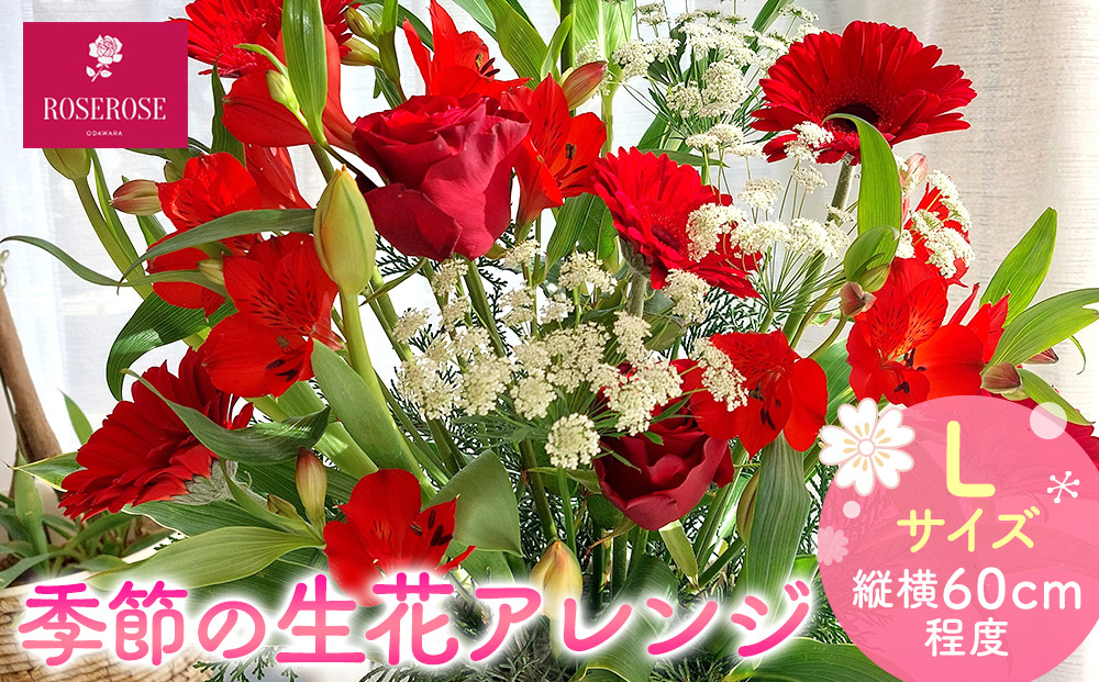季節の生花アレンジ　Lサイズ&nbsp;【&nbsp;フラワー&nbsp;アレンジメント&nbsp;お花&nbsp;ギフト&nbsp;プレゼント&nbsp;贈り物&nbsp;誕生日&nbsp;お祝い&nbsp;神奈川県&nbsp;小田原市&nbsp;】