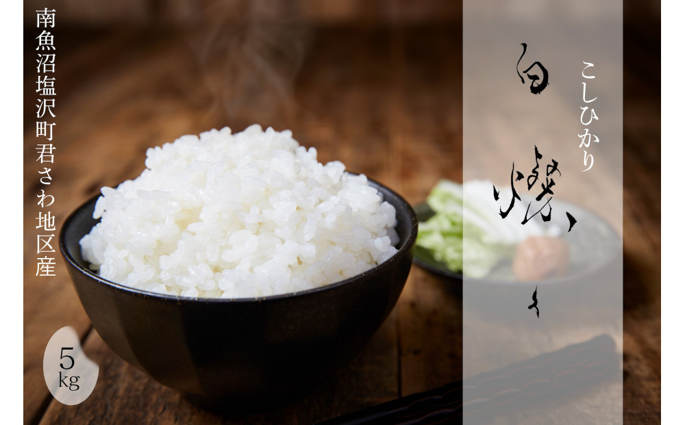【令和7年産】［12ヶ月定期便］南魚沼君沢産こしひかり&nbsp;白燦々5kg