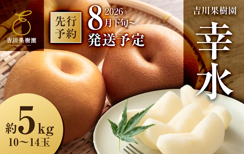 【2026年発送分先行予約】幸水&nbsp;約５kg（10～14玉）8月下旬～順次発送【吉川果樹園】